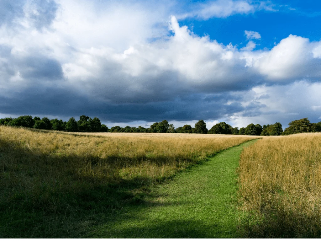 Investing in land