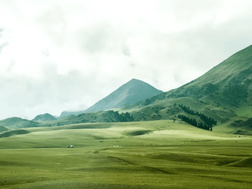 unrestricted land