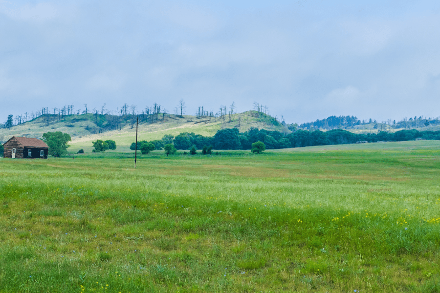 Vacant land