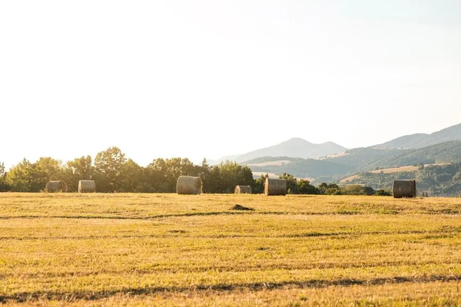 rural area